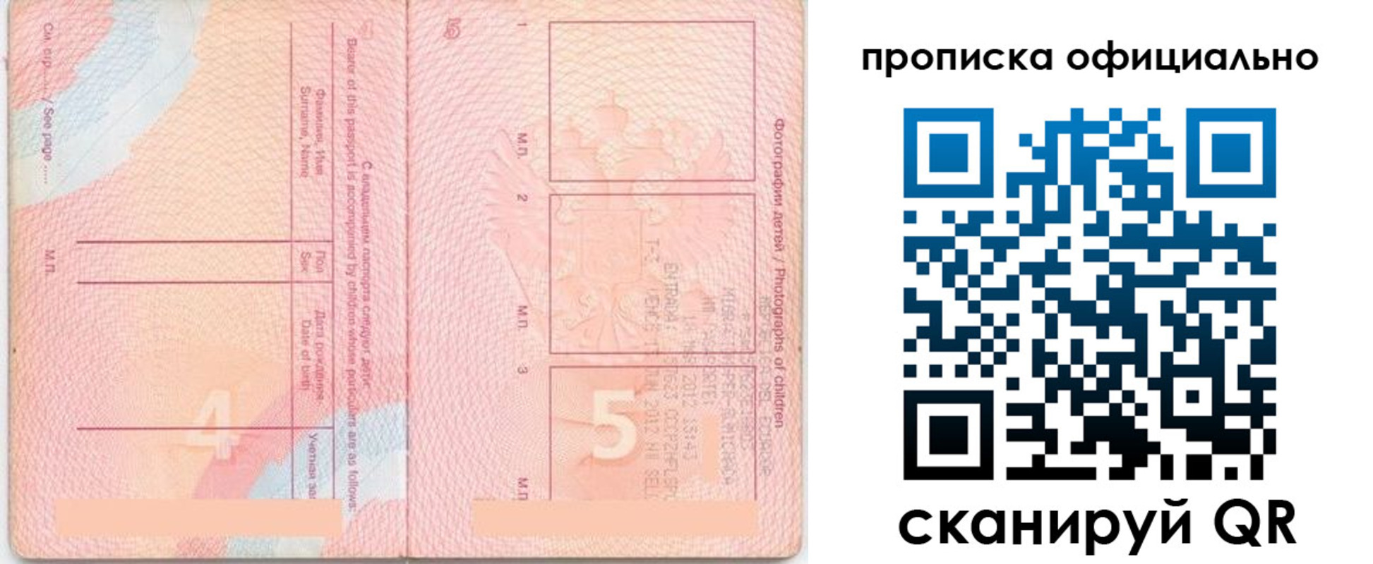 прописка для школы в Камешково